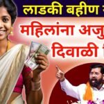राज्यात सर्व लाडक्या बहिणींना आणखी एक गिफ्ट मिळाले! उद्यापासून वाटप सुरू, महागाई भत्त्यात वाढ 8th Pay Commission Hike